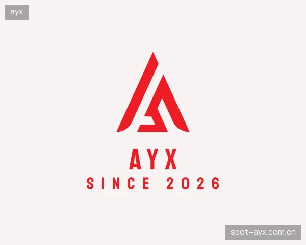 了解ayx机构