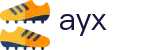 爱游戏（ayx）中国官方门户 - 数字化赛事转播入口